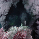Illustration for article titled What Creates This Underwater Smoke?